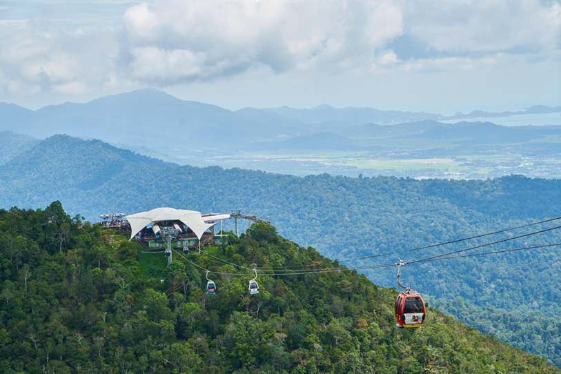 O CANTO DO SABIÁ PAULISTA O CANTO DO SABIÁ MAIS BONITO DO MUNDO